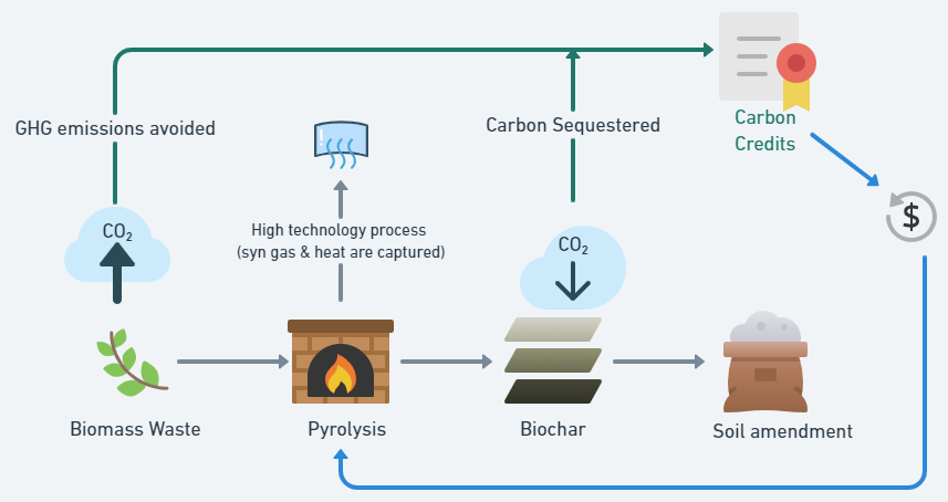 Biochar: A promising solution in the fight against climate change